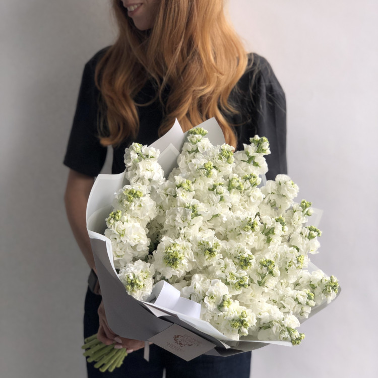 Маттиола белая