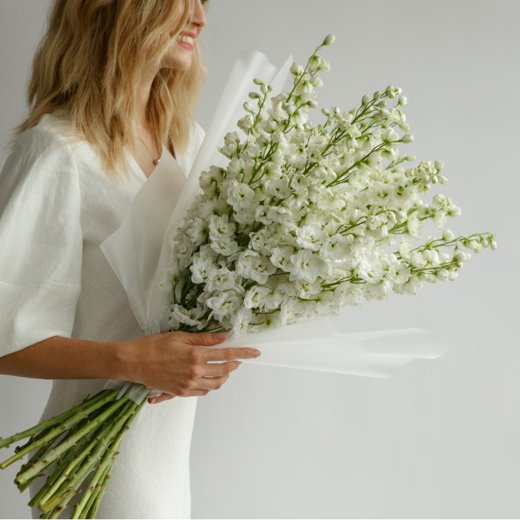 Дельфиниум WHITE