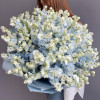 Дельфиниум LIGHT BLUE
