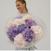 Гортензии микс LAVENDER CREAM