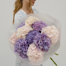 Гортензии микс LAVENDER CREAM