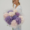 Гортензии микс LAVENDER CREAM