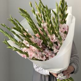Гладиолусы PINK