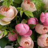 PEONY MIX - розы JULIET и пионы SALMON с малиной