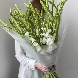 Гладиолусы WHITE