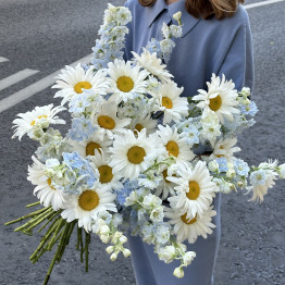 Дельфиниум LIGHT BLUE & Ромашки
