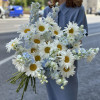 Дельфиниум LIGHT BLUE & Ромашки