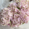 Сладкая вата PINK