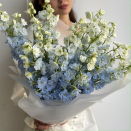 Дельфиниум LIGHT BLUE