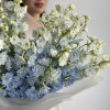 Дельфиниум LIGHT BLUE