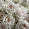 WHITE MIX Пионовидные розы и Лизиантус