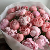 Пионы MIX - SALMON&PINK