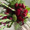 Red wibes