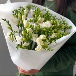 Фрезия WHITE