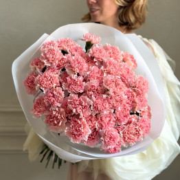 Гвоздики PINK