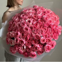 Розы PINK X-PRESSION