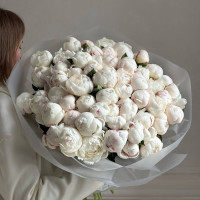 Пионы White