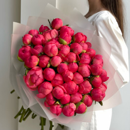 Пионы CORAL