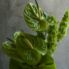 Green Love
